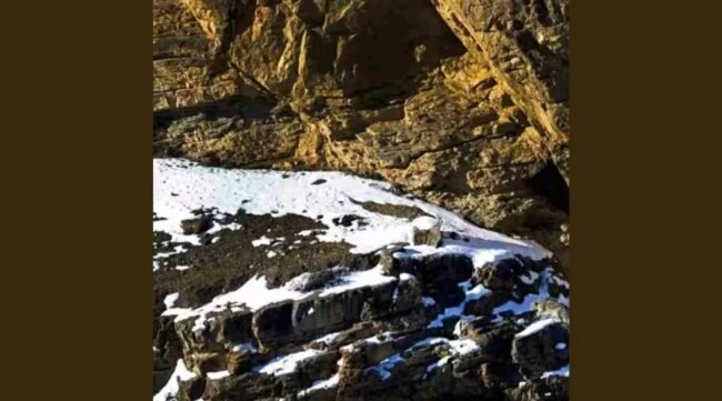 Optical Illusion : बर्फीली पहाड़ी में कहीं छुप कर बैठा है तेंदुआ, बताएं कितनी तेज नजर है आपकी, सिर्फ 10 सेकंड का है चैलेंज