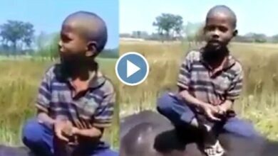 Funny video: हे ईश्वर इस बालक की भी सुन लीजिए! भैंस पर बैठकर बच्चे ने गाया ऐसा गाना, सोशल मीडिया का जीत लिया दिल