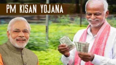 PM Kisan Yojana 2023: खुशखबरी! बजट के बाद पीएम किसान की 13वीं किस्त पर बड़ा अपडेट, इस दिन खाते में आएंगे 2 हजार