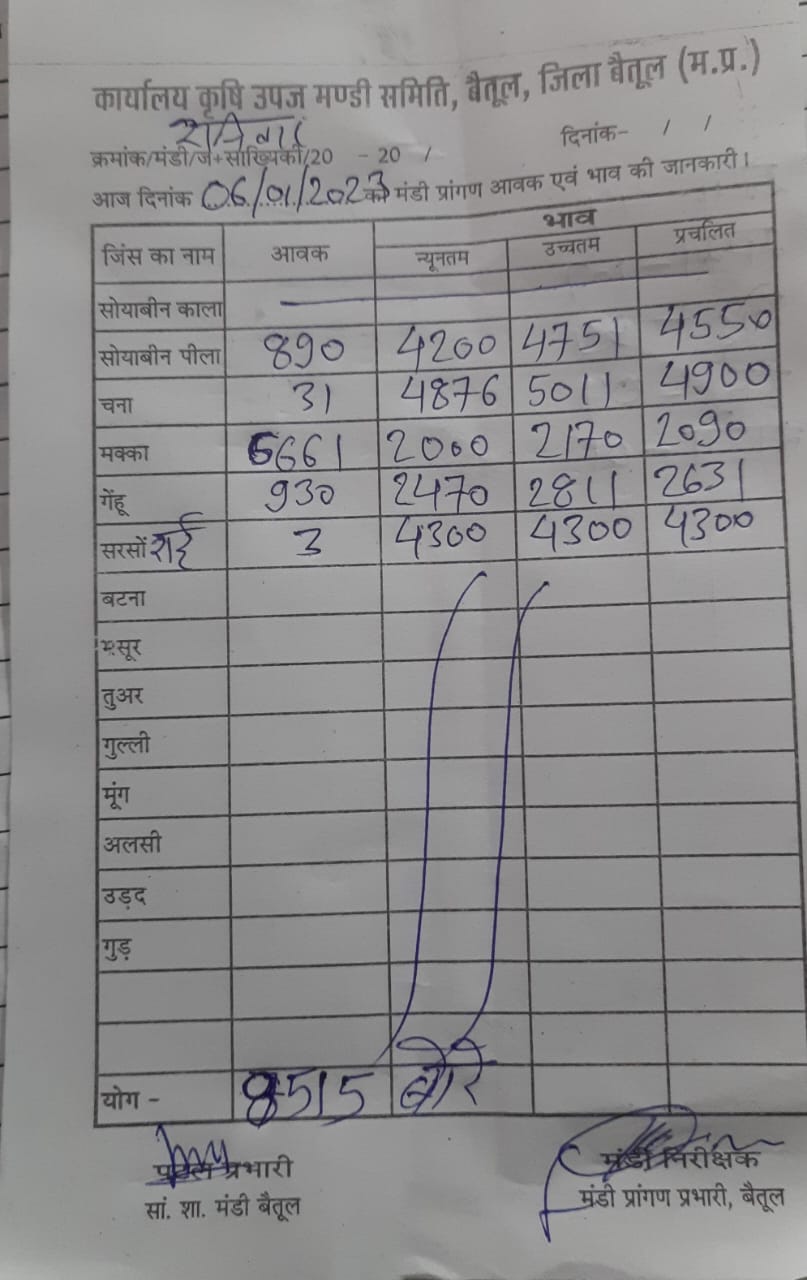 Today Betul Mandi Bhav : आज के कृषि उपज मंडी बैतूल के भाव (दिनांक 6 जनवरी, 2024)