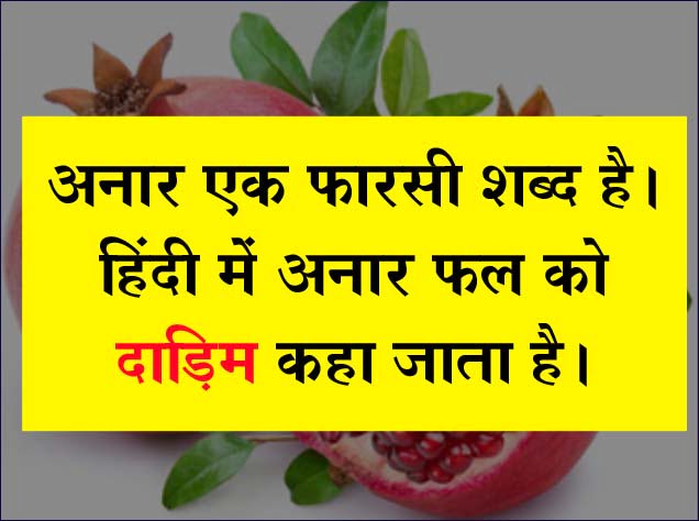 Trending Quiz : अनार को हिंदी में क्‍या कहते हैं?