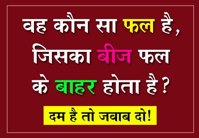 GK in Hindi : वह कौन सा फल है, जिसका बीज फल के बाहर होता है?