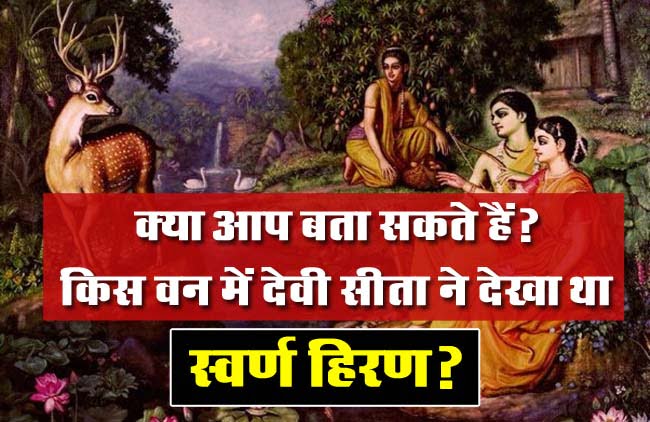 GK Questions : क्या आप बता सकते हैं? किस वन में देवी सीता ने देखा था स्वर्ण हिरण?