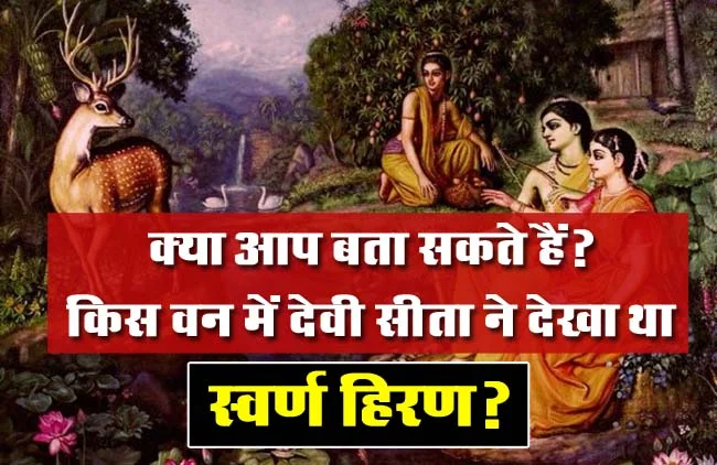 GK Questions : क्या आप बता सकते हैं? किस वन में देवी सीता ने देखा था स्वर्ण हिरण?