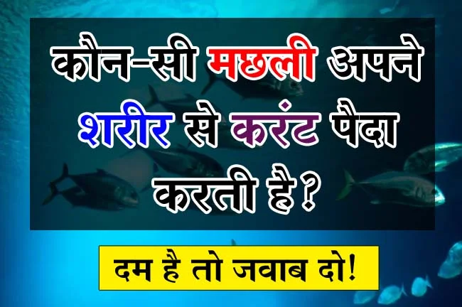 Trending Quiz : कौन-सी मछली अपने शरीर से करंट पैदा करती है?