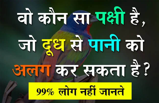 GK In Hindi : वो कौन सा पक्षी है, जो दूध से पानी को अलग कर सकता है?