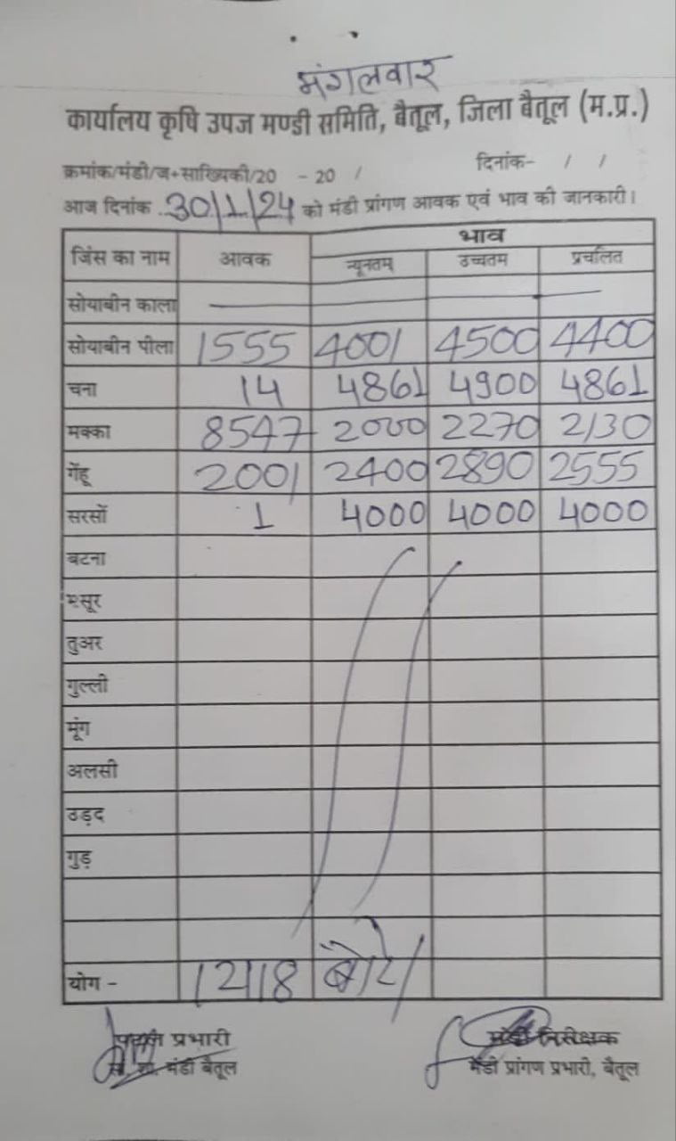 Today Betul Mandi Bhav : आज के कृषि उपज मंडी बैतूल के भाव (दिनांक 30 जनवरी, 2024)