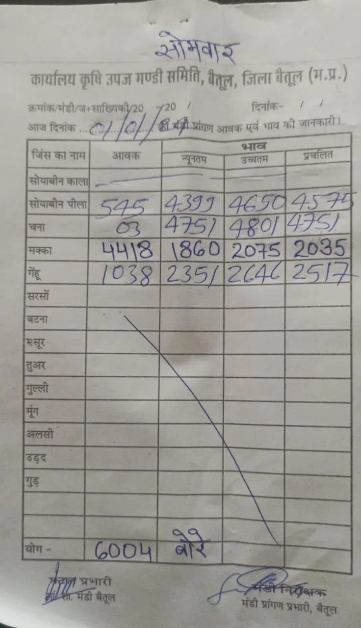 Today Betul Mandi Bhav : आज के कृषि उपज मंडी बैतूल के भाव (दिनांक 1 जनवरी, 2024)