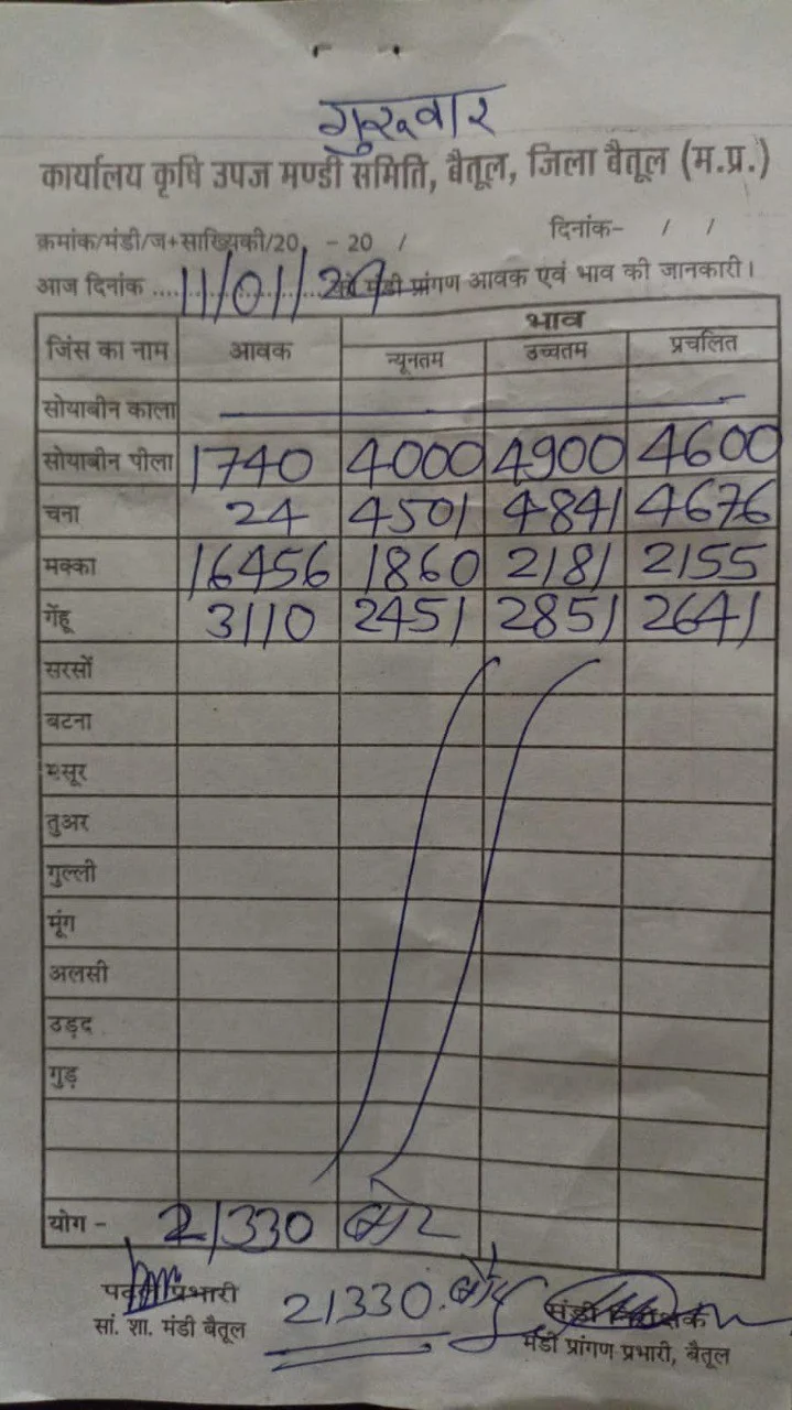 Today Betul Mandi Bhav : आज के कृषि उपज मंडी बैतूल के भाव (दिनांक 11 जनवरी, 2024)