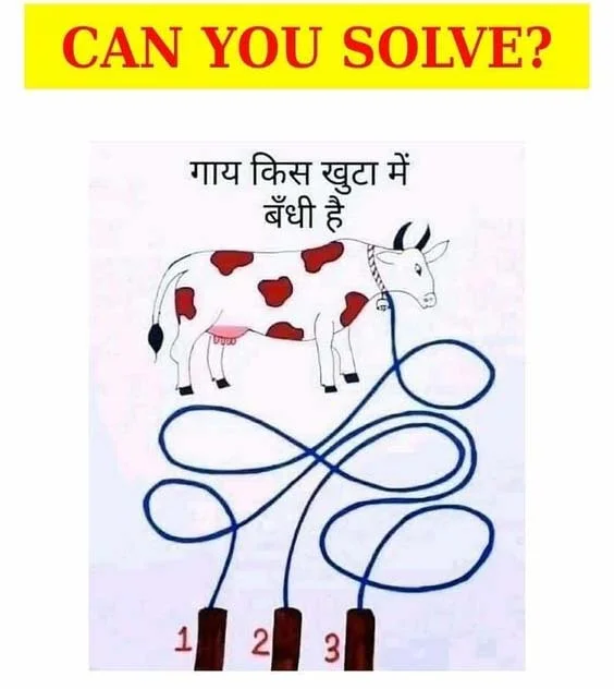 Brain Teaser : जीनियस ही बता सकते हैं की गाय किस खुटे में बँधी हैं?