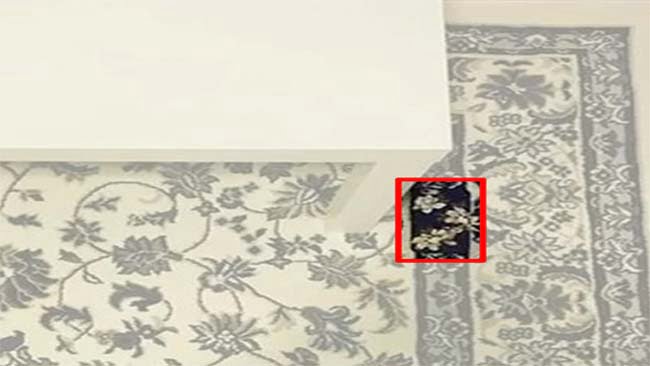 Optical Illusion : इस तस्‍वीर में छिपा है एक आईफोन, 10 सेकंड में पूरा करें ढूंढने का चैलेंज