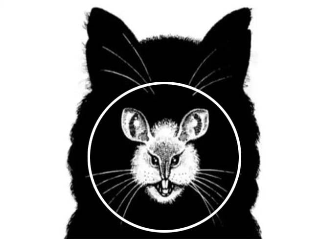 Optical Illusion : इस तस्‍वीर में छिपे जानवर बताएंगे क्‍या है आपकी पर्सनालिटी? जानें कितने क्रिएटिव है आप