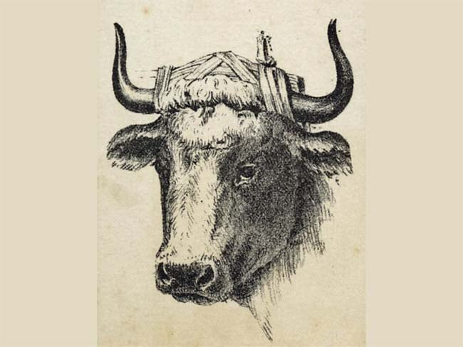 Optical Illusion: क्‍या आपने तस्‍वरी में छिपे गाय के मालिक को ढूंढ लिया? चैलेंज पूरा करने में घूम जाएगा दिमाग