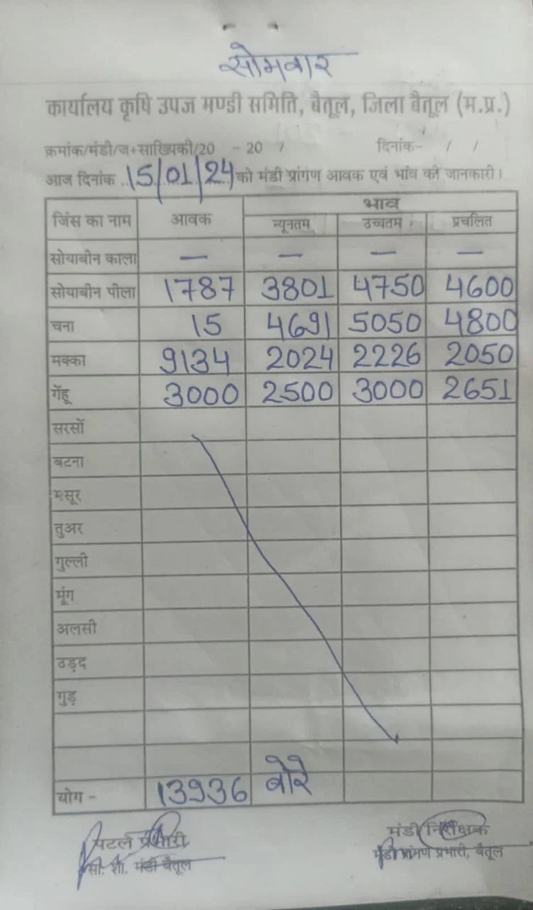 Today Betul Mandi Bhav : आज के कृषि उपज मंडी बैतूल के भाव (दिनांक 15 जनवरी, 2024)