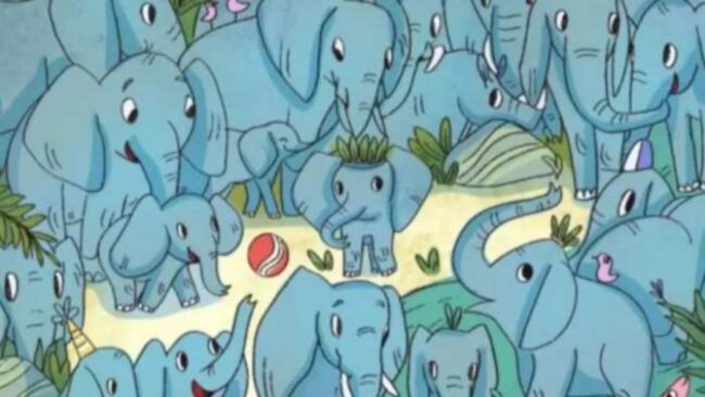Optical Illusion : तेज दिमाग है तो हाथियों के झुंड के बीच छिपे हुए गैंडे को 7 सेकेंड में ढूंढकर बताओ...