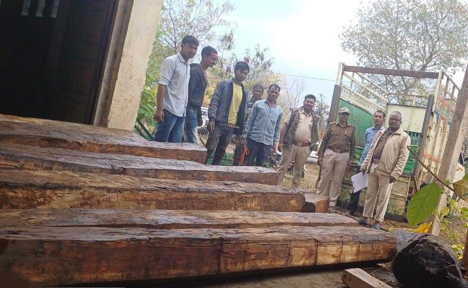 Betul Forest News : चेकिंग होते देख वाहन छोड़ कर भागा चालक, मिला अवैध सागौन का जखीरा