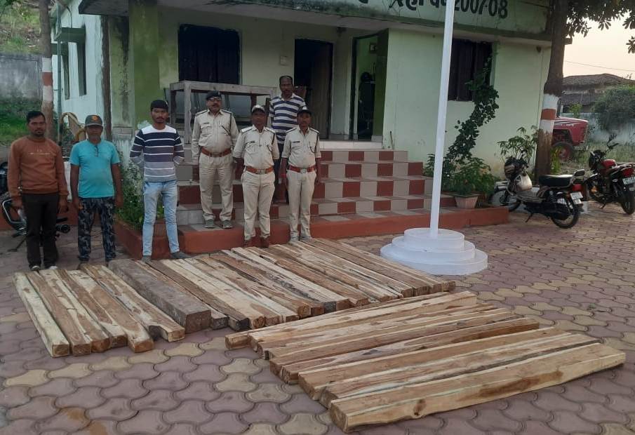 Betul Latest News : गश्ती के दौरान नाले में मिला अवैध सागौन का जखीरा, वन अमले को देख बाइक छोड़कर भागा आरोपी