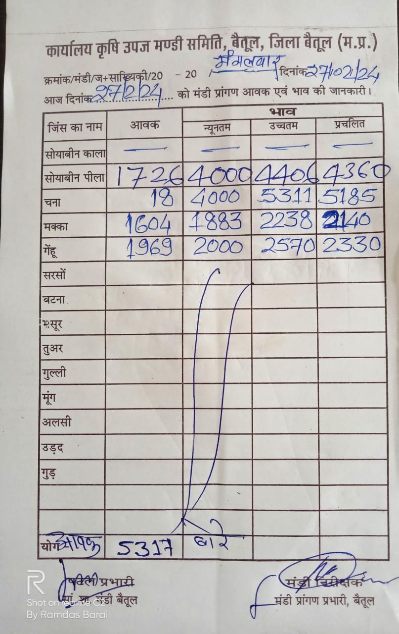 Today Betul Mandi Bhav : आज के कृषि उपज मंडी बैतूल के भाव (दिनांक 27 फरवरी, 2024)
