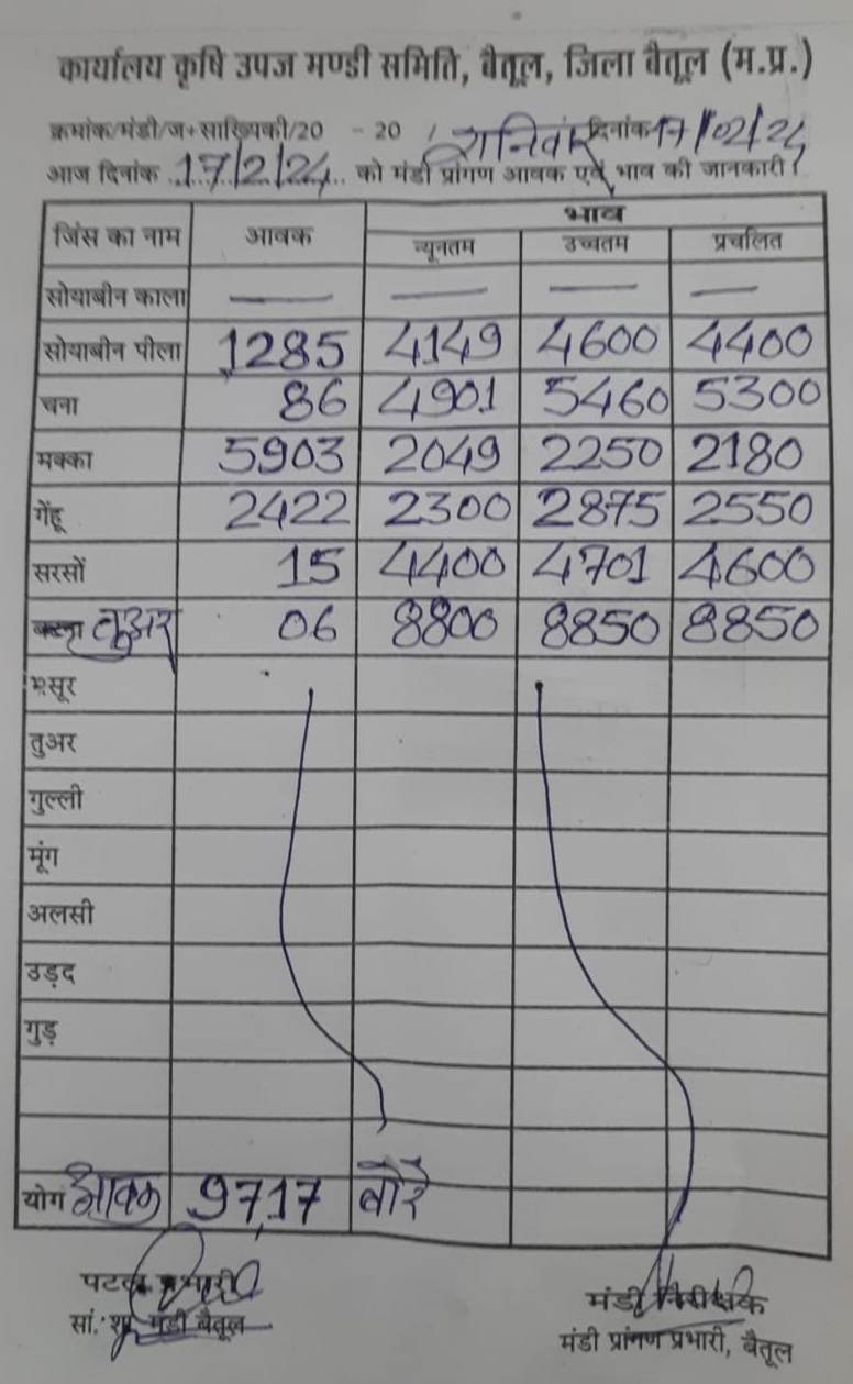Today Betul Mandi Bhav : आज के कृषि उपज मंडी बैतूल के भाव (दिनांक 17 फरवरी, 2024)
