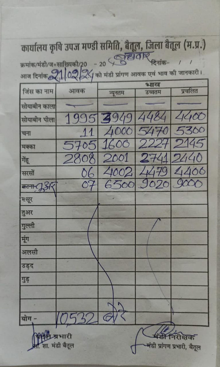 Today Betul Mandi Bhav : आज के कृषि उपज मंडी बैतूल के भाव (दिनांक 21 फरवरी, 2024)