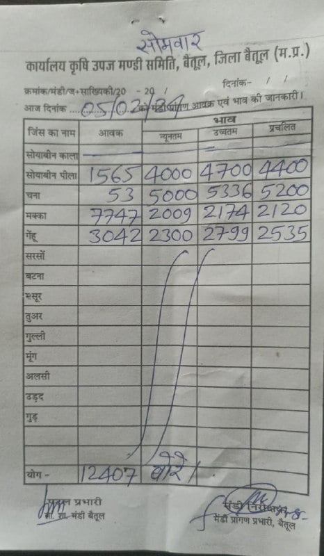 Today Betul Mandi Bhav : आज के कृषि उपज मंडी बैतूल के भाव (दिनांक 5 फरवरी, 2024)