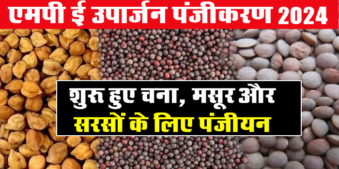 MP E-Uparjan 2024: शुरू हुए चना, मसूर और सरसों के लिए पंजीयन, रखना होगा यह सावधानी नहीं तो अटकेगा भुगतान