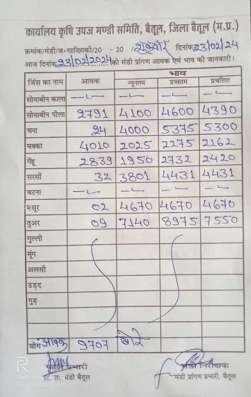 Today Betul Mandi Bhav : आज के कृषि उपज मंडी बैतूल के भाव (दिनांक 23 फरवरी, 2024)