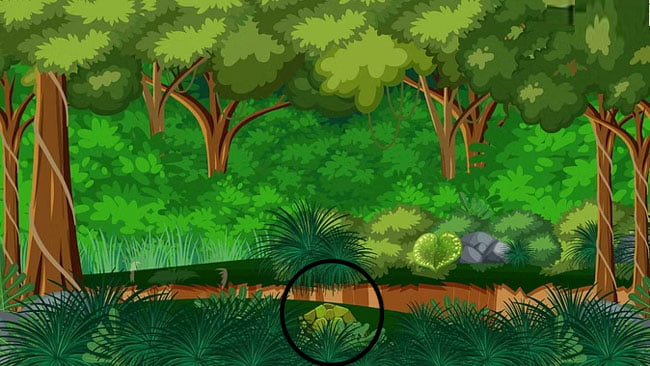 Optical Illusion : जंगल में छिपकर बैठा है कछुआ, क्‍या आप 10 सेकंड के अंदर ढूंढ सकते हैं?