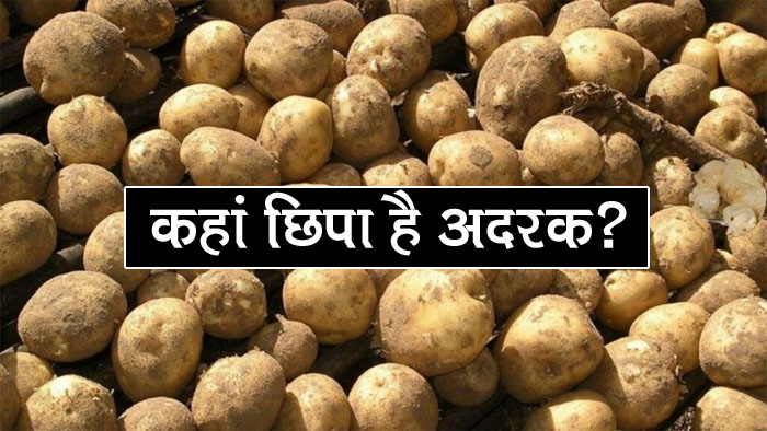 Optical Illusion : आलू के बीच छिपे है अदरक को खोजने में लोगों के दिमाग का हो गया दही, क्या आप ढूंढ लेंगे इसका जवाब?
