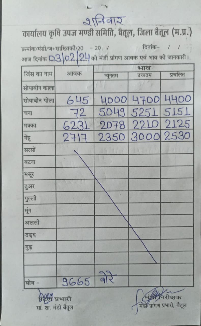 Today Betul Mandi Bhav : आज के कृषि उपज मंडी बैतूल के भाव (दिनांक 3 फरवरी, 2024)