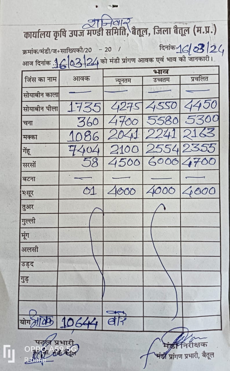 Today Betul Mandi Bhav : आज के कृषि उपज मंडी बैतूल के भाव (दिनांक 16 मार्च, 2024)