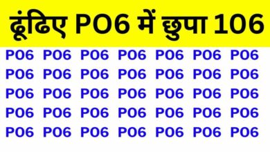 Optical illusions : सिर्फ चतुर लोग ही ढूंढ पाएंगे PO6 में छुपा हुआ 106, असली गुरु 7 सेकंड में जीत जाएंगे