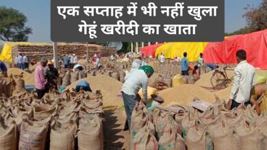 MSP Gehun Kharidi 2024 : एक सप्ताह में भी नहीं खुला गेहूं खरीदी का खाता, केन्द्रों पर पसरा है सन्नाटा, मंडी में बंपर आवक