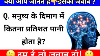 GK Questions : मनुष्य के दिमाग में कितने प्रतिशत पानी होता है?