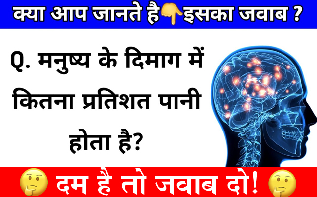 GK Questions : मनुष्य के दिमाग में कितने प्रतिशत पानी होता है?