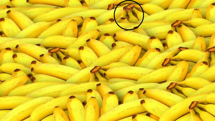 Optical Illusion : यदि दम है तो केले की बीच छिपी तितली को ढूंढकर बताओ, समय हैं सिर्फ 3 सेकंड