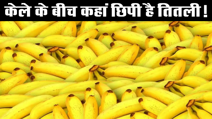Optical Illusion : यदि दम है तो केले की बीच छिपी तितली को ढूंढकर बताओ, समय हैं सिर्फ 3 सेकंड