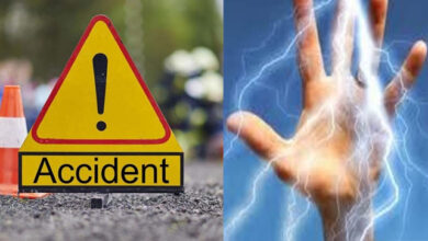 Betul News: मेले में जा रहे श्रद्धालुओं की पिकअप की भिड़ंत, दर्जन भर घायल, चार गंभीर; खेत की फेंसिंग में करंट से ग्रामीण की मौत