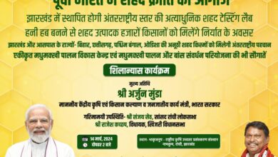 Honey Revolution : अब देश में आएगी शहद क्रांति, यह आधा दर्जन राज्य बनेंगे हनी हब