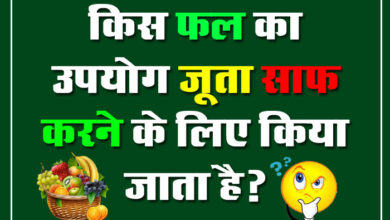 GK Questions : किस फल का उपयोग जूता साफ करने के लिए किया जाता है?