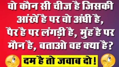 GK Question : वो कौन सी चीज है जिसकी आंखें है पर वो अंधी है, पैर है पर लंगड़ी है, मुंह है पर मौन है, बताओ वह क्या है?