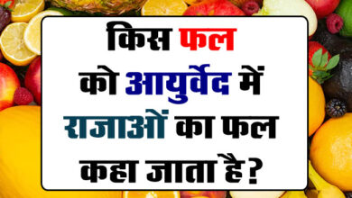 GK Questions : किस फल को आयुर्वेद में राजाओं का फल कहा जाता है?