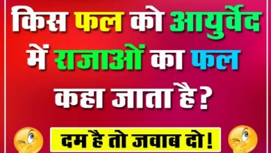 GK Question : किस फल को आयुर्वेद में राजाओं का फल कहा जाता है?