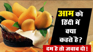 Interesting Quiz : क्या आपको आम खाना पसंद है तो बताइए इसे हिंदी में क्या कहते है?