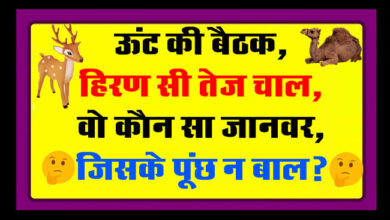 GK Question : ऊंट की बैठक, हिरण सी तेज चाल, वो कौन सा जानवर, जिसके पूंछ न बाल ?