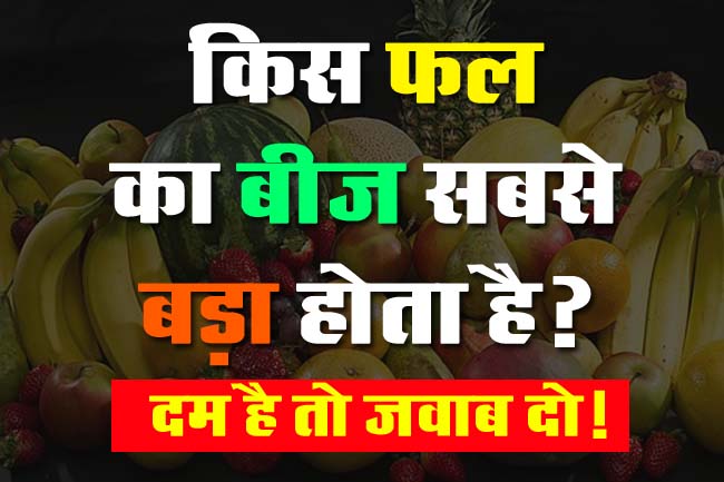 GK Questions : किस फल का बीज सबसे बड़ा होता है?