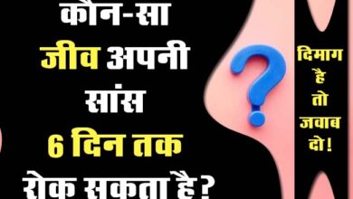 GK Question : कौन-सा जीव अपनी सांस 6 दिन तक रोक सकता है?