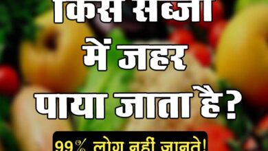 GK Question : किस सब्जी में जहर पाया जाता है?