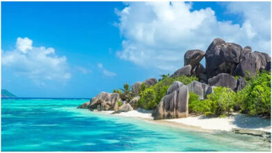 Island: इस Beautiful Island पर रहना-खाना सब होगा फ्री, मिलेंगे करोड़ों रूपए, बस है एक शर्त