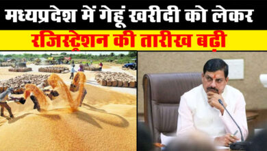 MP Gehun Kharidi: मध्‍यप्रदेश में गेहूं खरीदी को लेकर पंजीयन की तारीख बढ़ी, जल्द करें रजिस्ट्रेशन